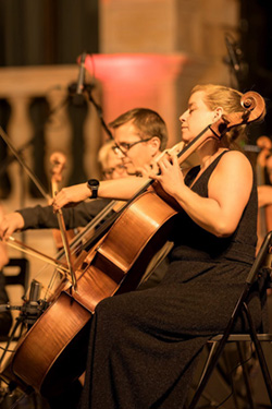 Kate Robey, Cello
